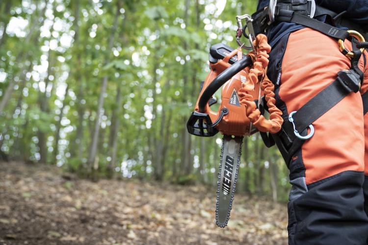 Echo Quick Draw 50v 2Ah Chain Saw 8 10 Inch Bar DCS-2500T - DCS-2500T 2019 (6).jpg